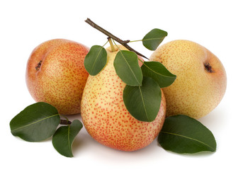 Similar image 2973566