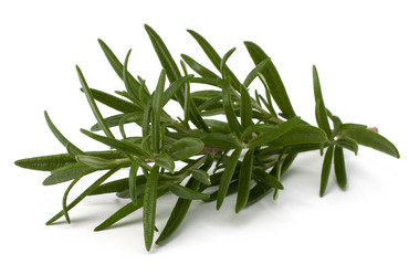 Similar image 2973586