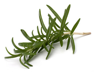 Similar image 2973638