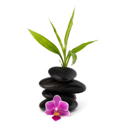 Similar image 2973640