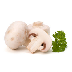 Similar image 2973677