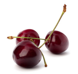 Similar image 2973692