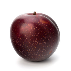 Similar image 2973716