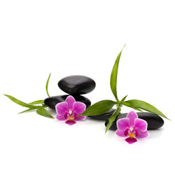 Similar image 2973725