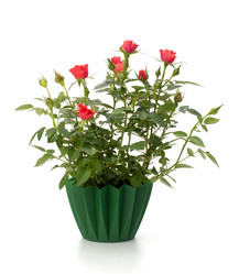 Similar image 2973769