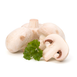 Similar image 2973849