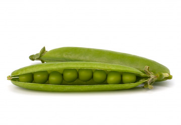 Similar image 2973900