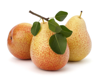 Similar image 2973920