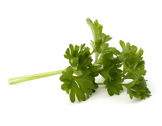 Similar image 2973925