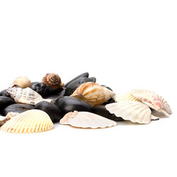 Similar image 2973988