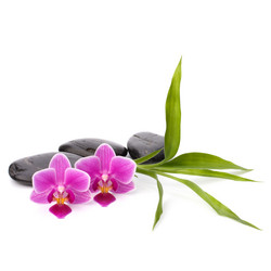 Similar image 2973989