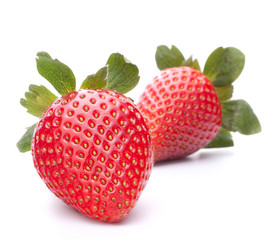 Similar image 2974004