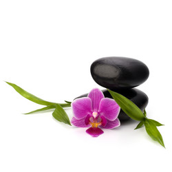 Similar image 2974022