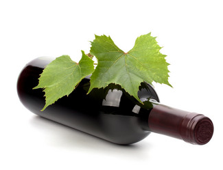 Similar image 2974032