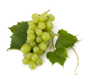 Similar image 2974048