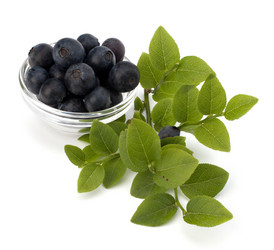 Similar image 2974060