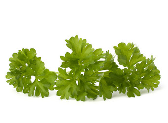 Similar image 2974064