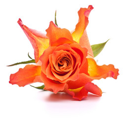 Similar image 2974085