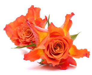 Similar image 2974097