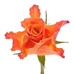 Similar image 2974114