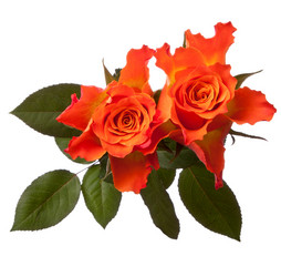 Similar image 2974121