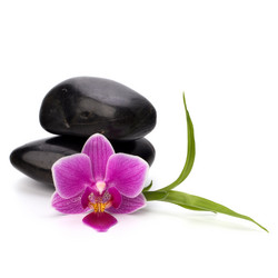 Similar image 2974142