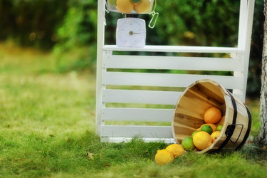 Similar image 2974161