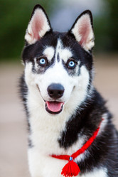 Similar image 2974195