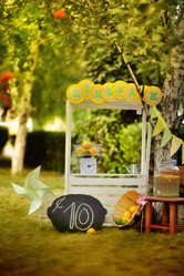 Similar image 2974211