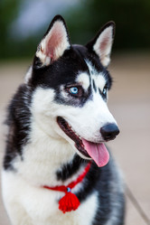 Similar image 2974225