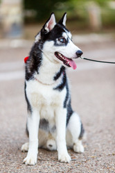 Similar image 2974229