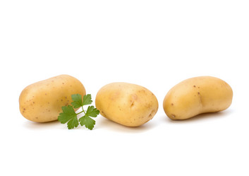 Similar image 2974278