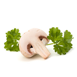 Similar image 2974303