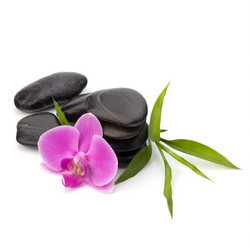 Similar image 2974327