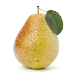 Similar image 2974331