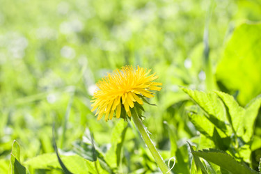 Similar image 2974369