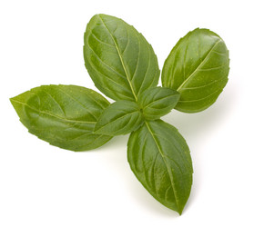 Similar image 2974394