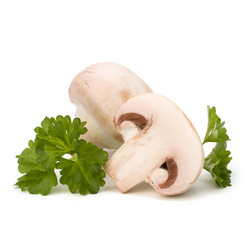 Similar image 2974397