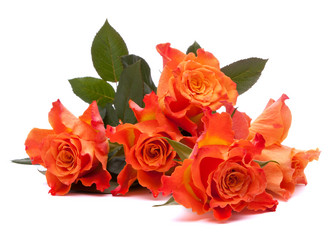 Similar image 2974425