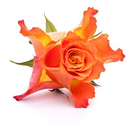 Similar image 2974431