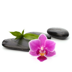 Similar image 2974441