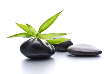 Similar image 2974445