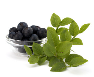 Similar image 2974451