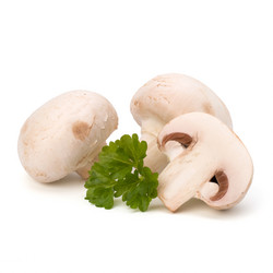 Similar image 2974455