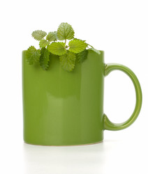 Similar image 2974546