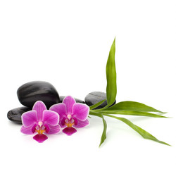 Similar image 2974560