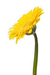 Similar image 2974573