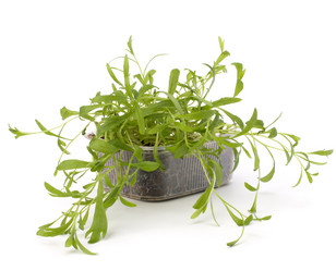 Similar image 2974584