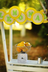 Similar image 2974605