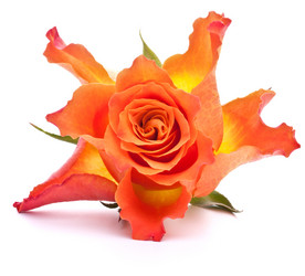 Similar image 2974618